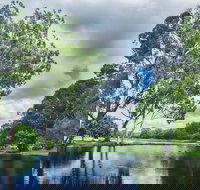 Gold Coast Regional Botanic Gardens