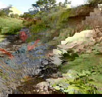 Gold Panning Deep Creek - Accommodation in Bendigo