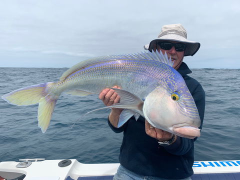 GT Fishing Charters - Accommodation in Bendigo 1