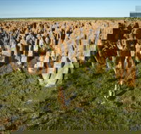 Gulf Region - Accommodation in Bendigo