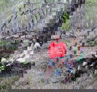 Gunbower Island Forest Drive - Accommodation in Bendigo