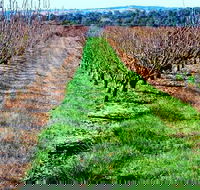 Hall Family Orchards - Accommodation in Bendigo