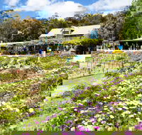 Kate's Berry Farm - Accommodation in Bendigo
