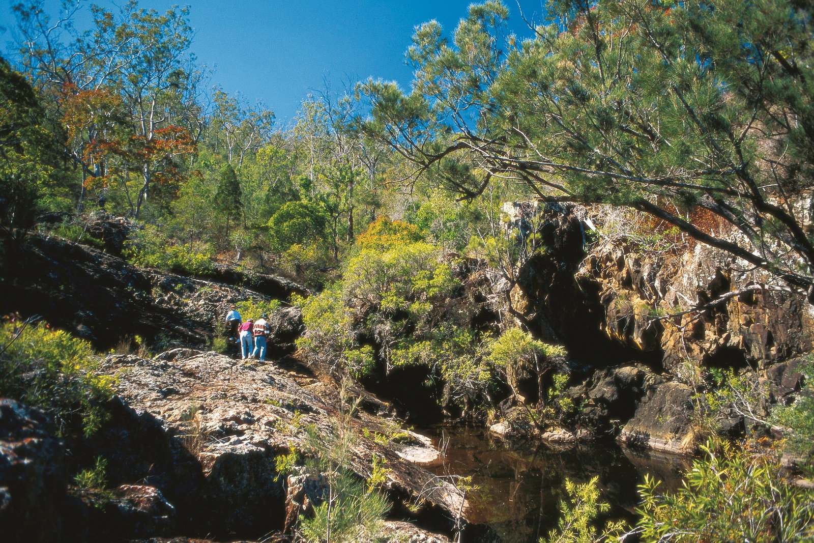 Tablelands QLD Accommodation in Bendigo