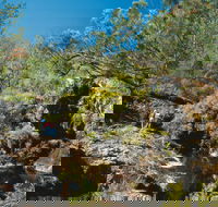 Kroombit Tops National Park - Accommodation in Bendigo