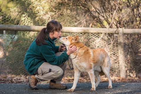 Kyabram Fauna Park - Accommodation in Bendigo 1