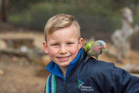 Kyabram Fauna Park - Accommodation in Bendigo 2