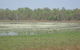 Leaning Tree Lagoon Nature Park - thumb 1