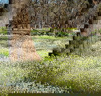 Leaghur State Park - Accommodation in Bendigo