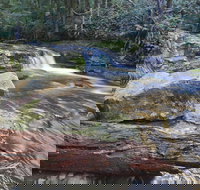 Liffey Falls Reserve - Accommodation in Bendigo