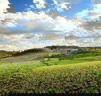 Lions Park Hodgson Vale - Accommodation in Bendigo