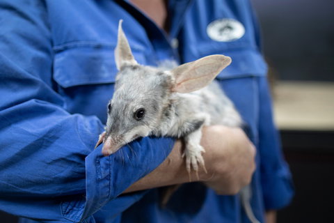 Matilda Way - Accommodation in Bendigo 2