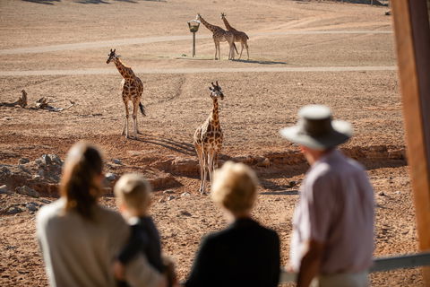 Monarto Safari Park - Accommodation in Bendigo 0