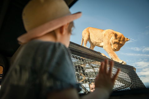 Monarto Safari Park - Accommodation in Bendigo 2