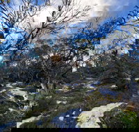 Mount Torbreck Summit Walk - Accommodation in Bendigo