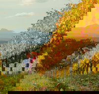 Mount Barker - Accommodation in Bendigo