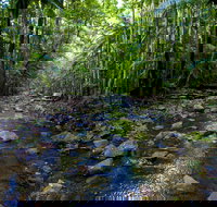 Nambucca Valley - Accommodation in Bendigo