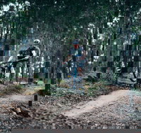 Nerang Mountain Bike Trails - Accommodation in Bendigo