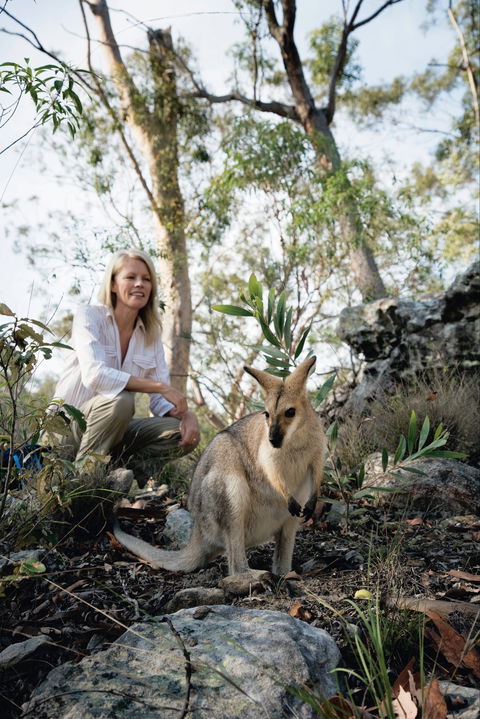 North Burnett - Mount Perry (via Monto) To Biggenden To Childers - Accommodation in Bendigo 2