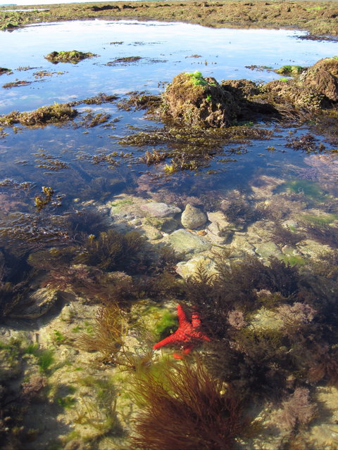 Point Danger Marine Sanctuary - Accommodation in Bendigo 1