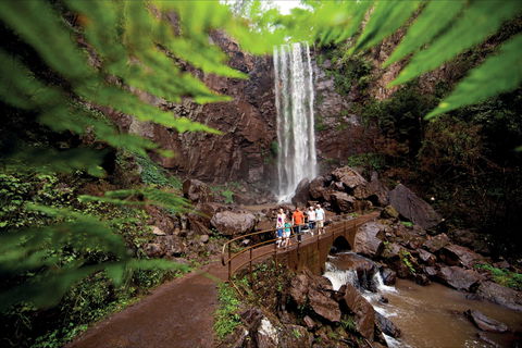 Queen Mary Falls Circuit, Main Range National Park - Accommodation in Bendigo 0