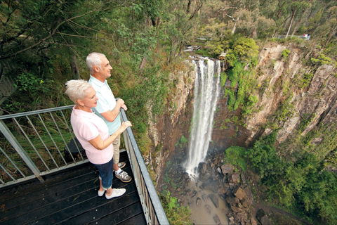 Queen Mary Falls Circuit, Main Range National Park - Accommodation in Bendigo 1
