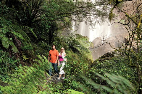 Queen Mary Falls Circuit, Main Range National Park - Accommodation in Bendigo 2