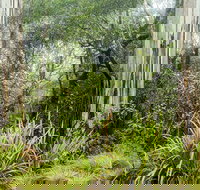 River walking track - Accommodation in Bendigo