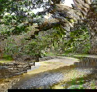 Saltwater National Park - Accommodation in Bendigo