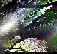 Scarborough Beach Park - Accommodation in Bendigo