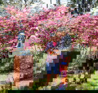 Sculpture at Petana - Accommodation in Bendigo