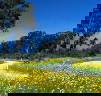 Shearer's Way - Accommodation in Bendigo