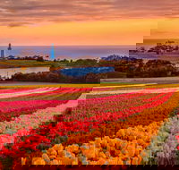 Table Cape - Accommodation in Bendigo