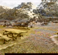 Thredbo River picnic area - Accommodation in Bendigo