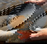 Tuena Panning for Gold - Accommodation in Bendigo