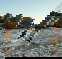 Venus Bay - Accommodation in Bendigo