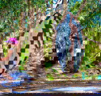 Wagirra Trail and Yindyamarra Sculpture Walk - Accommodation in Bendigo