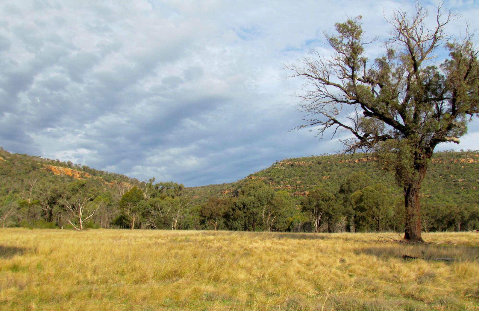 Bimbi NSW Accommodation in Bendigo