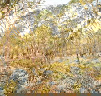 Alpine Views Walk - Accommodation in Bendigo