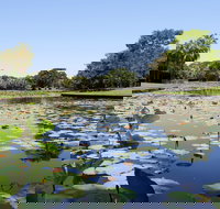 Anderson Park Botanic Gardens - Accommodation in Bendigo