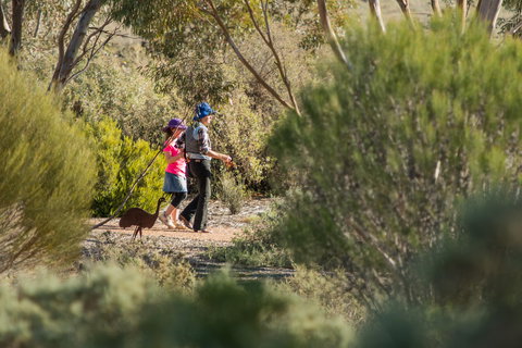 Australian Arid Lands Botanic Garden - Accommodation in Bendigo 0