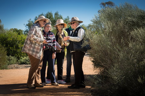 Australian Arid Lands Botanic Garden - Accommodation in Bendigo 2