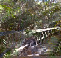 Awaba Bay Foreshore Walk - Accommodation in Bendigo