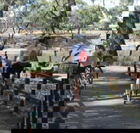 Bidgee Riverside Trail  - Hay Nature Walk - Accommodation in Bendigo