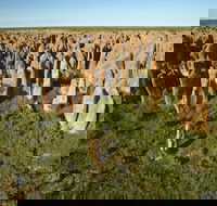 Borroloola - Accommodation in Bendigo