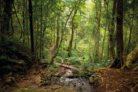 Bunya Mountains National Park - Accommodation in Bendigo 1