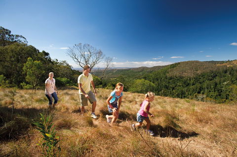 Bunya Mountains National Park - Accommodation in Bendigo 2