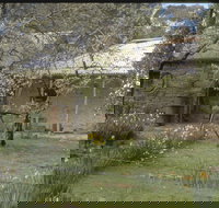 Castlemaine Diggings National Heritage Park - Accommodation in Bendigo