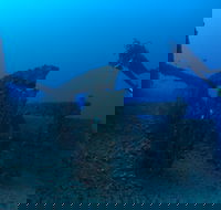 Cementco Dive Site - Accommodation in Bendigo