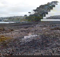 Churchill Island Marine National Park - Accommodation in Bendigo